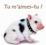 quel est ma plus grande ...