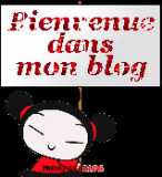 bienvenue